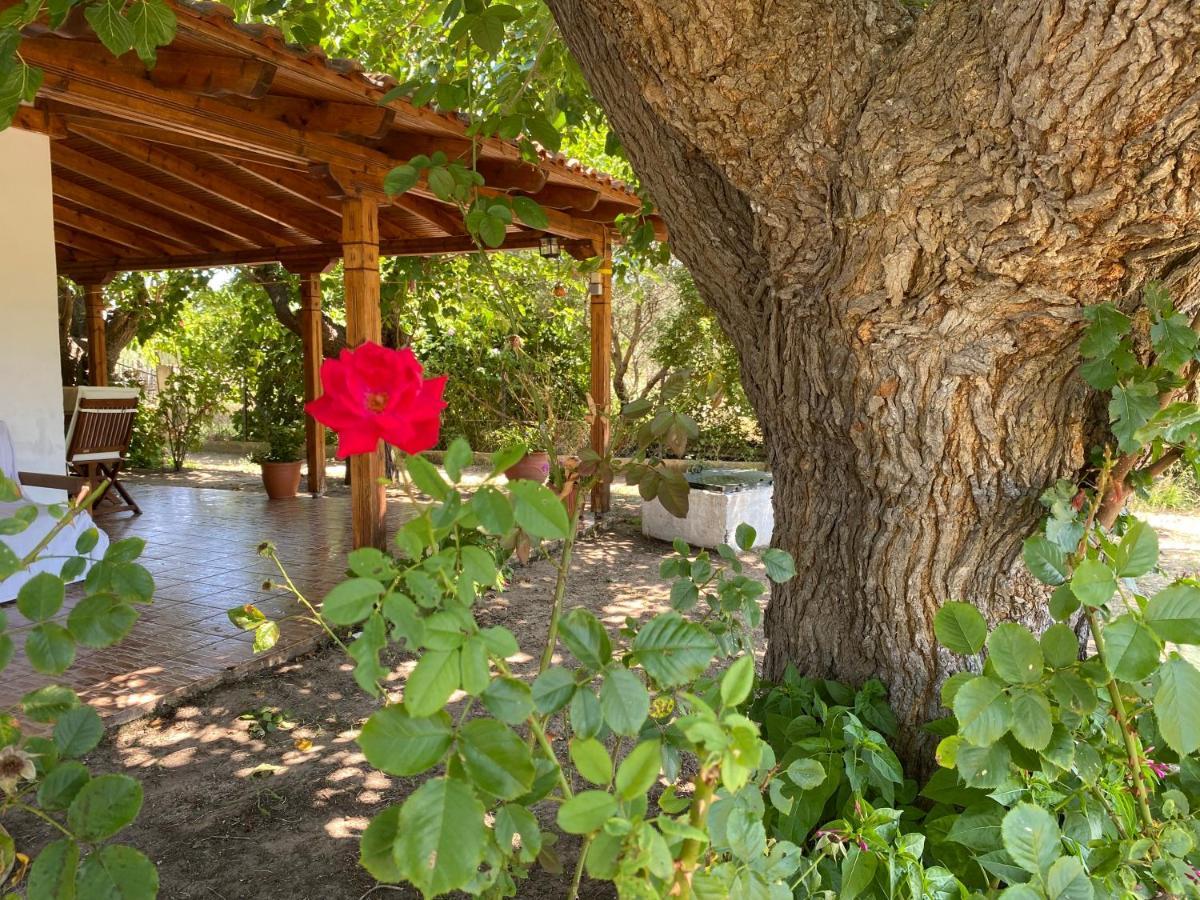 Maria'S House Villa Сикия Екстериор снимка